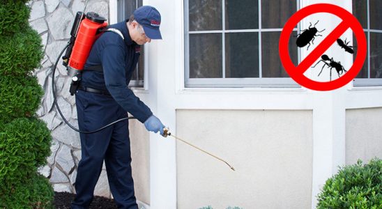 Artuklu Akrep İlaçlama böcek ilaçlama ve haşere kontrolü — ilaclama-tr.com